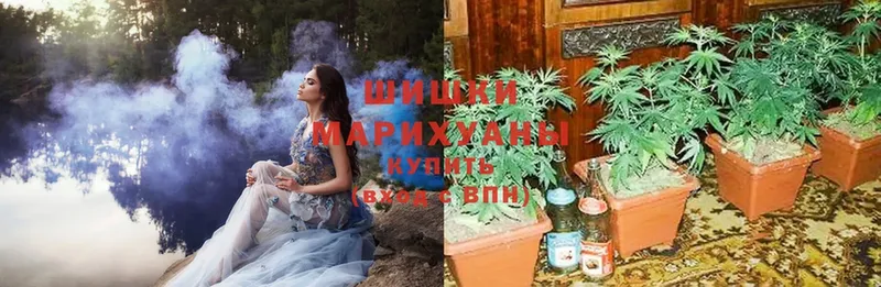 Шишки марихуана White Widow  цена наркотик  Бабаево 